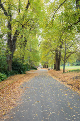 A beautiful peaceful autumn scene.