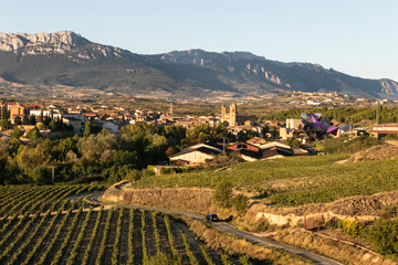 Vi&ntilde;edos en La Rioja