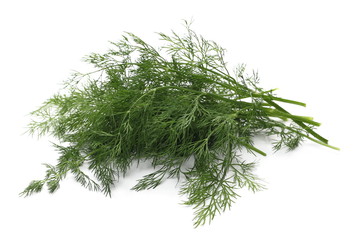 Fresh green dill isolated on white background
