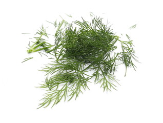 Fresh green dill isolated on white background