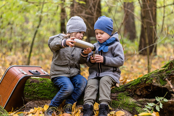 Children playing in autumn forest full of yellow leaves with vintage suitcase. Sitting on a old tree and drinking hot tea. Brother and sister friends forever.