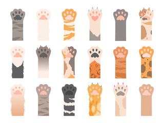 Pets paw. Wild cats different paws with claws vector collection. Colored pet paw with claw, animal cat foot illustration © ONYXprj