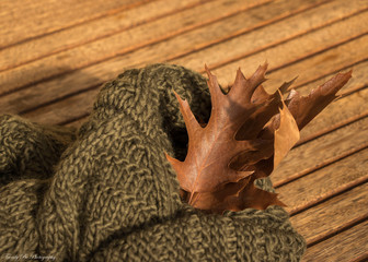 Autumn