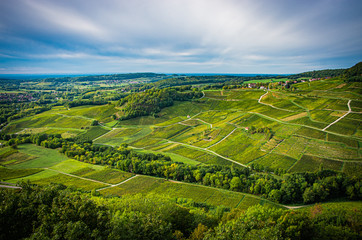 Ch&acirc;teau-Chalon 