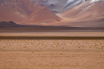 Fototapeta na wymiar High altitude desert colors. Landscape of the Bolivian highlands. Desert landscape of the Andean plateau of Bolivia with the peaks of the snow-capped volcanoes of the Andes