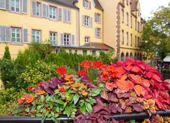 Colmar, Elsass, Frankreich