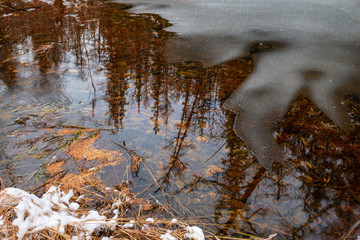 Reflection of a trees in a freezing stream in late autumn. Forest lake in onset of winter