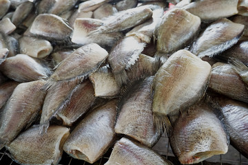 Dried Trichogaster pectoralis in fish market