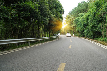 Obraz premium Curved roads in the forest