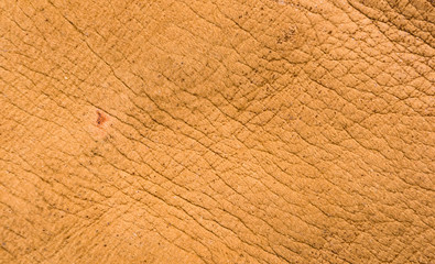 Fototapeta premium Old vintage genuine soft brown leather texture background, top layer with pores and scratches, macro, close-up