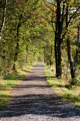 Wanderweg im Herbst