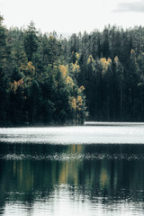 lake in the forest