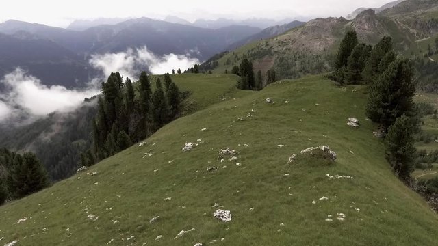 hiking trail "Vial de le Feide" or "Sentiero delle Pecore", beautiful excursion in the center of the Catinaccio Group : Rosengarten one of the 9 Dolomites massifs recognized as a UNESCO World Natural 