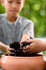 Young boy play with soil and seedling