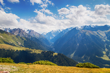 Fototapeta premium Mountain summer landscape. Snowy mountains and green grass. Peak Karakol Kyrgyzstan.