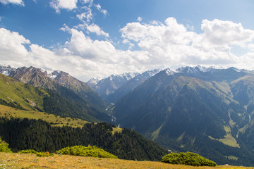 Fototapeta na wymiar Mountain summer landscape. Snowy mountains and green grass. Peak Karakol Kyrgyzstan.