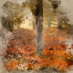 Digital watercolor painting of Beautiful Autumn Fall Winter forest woodland landscape fine art scene