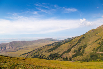 Mountain summer landscape. Snowy mountains and green grass. Peak Karakol Kyrgyzstan.