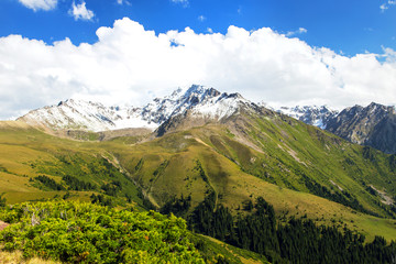 Naklejka na ściany i meble Mountain summer landscape. Snowy mountains and green grass. Peak Karakol Kyrgyzstan.