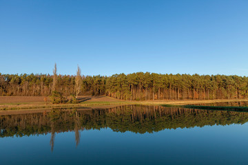 Waldrand an einem See mit spiegelglattem Wasser
