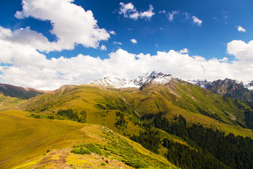 Mountain summer landscape. Snowy mountains and green grass. Peak Karakol Kyrgyzstan.