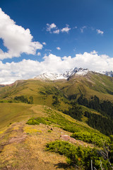 Fototapeta na wymiar Mountain summer landscape. Snowy mountains and green grass. Peak Karakol Kyrgyzstan.