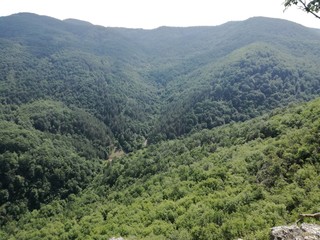 Mountain landscape hills and elevations covered with dense forest