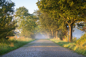 Obraz premium Empty rural road during a foggy, autumn morning in the Dutch countryside.
