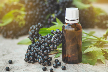 Elderberry syrup immunity boosting for flu season. Elder, black elder. European black elderberry background