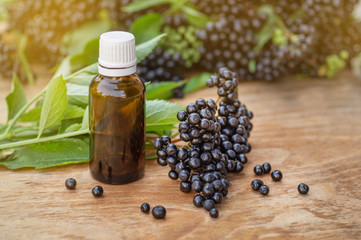 Elderberry syrup immunity boosting for flu season. Elder, black elder. European black elderberry background