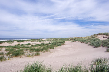 Fototapeta na wymiar New dunes under a cloudy sky