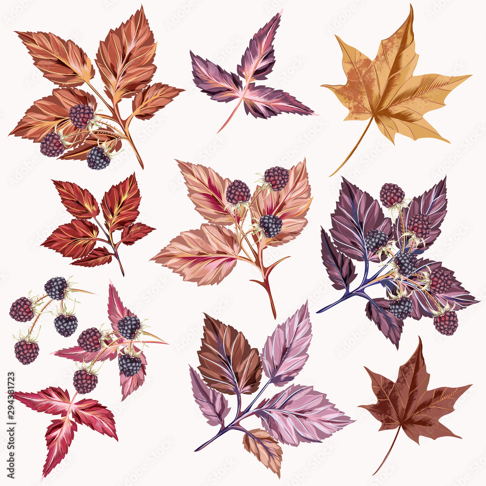 Poster Autumn set of vector detailed leaves and berries