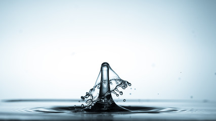 Close-up of a water drop falling on water surface