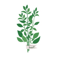 Basil bunch with name tag.