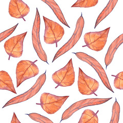 Fototapeta na wymiar Beautiful autumn watercolor seamless pattern with leaves on white background.
