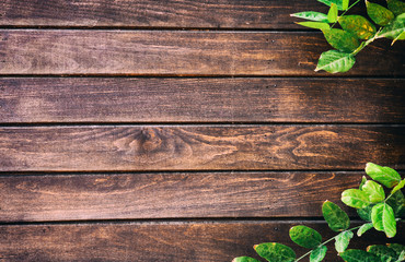 Green leaves on wooden old vintage brown planks. Many green bright leaves on wood. Selected focus