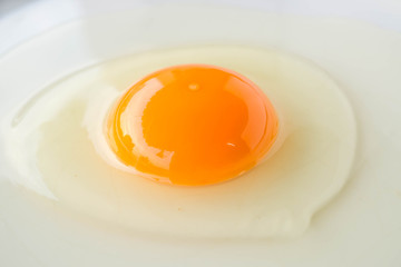 Organic fresh egg, raw white and yolk on white plate