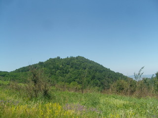 Fototapeta premium green mountain pastures on mild slopes