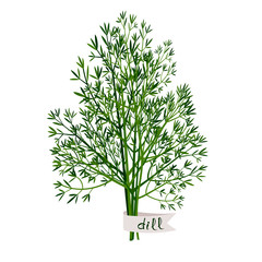 Dill bunch with name tag.