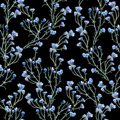 Floral watercolor seamless pattern with wild herbs on black background.