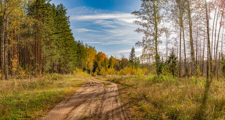 Forest dirt road for logging. Yakshur-bodinsky district, Udmurt Republic, Russia.