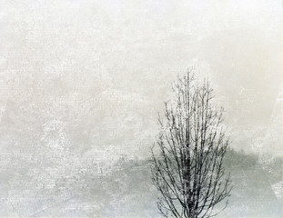 Black tree on abstract white background