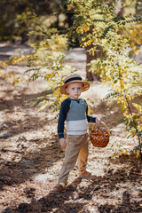 Naklejka na ściany i meble Stylish boy in a hat with a basket. boy in the park in a hat with a basket in autumn