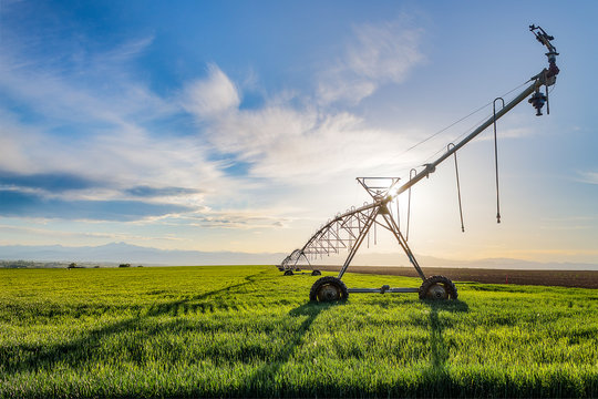 Bright sunshine highlights the irrigation sprinkler and green farmland with the rocky mountains and blue sky beyond