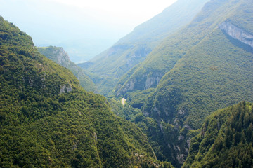 Mountain gorge, overgrown with forest
