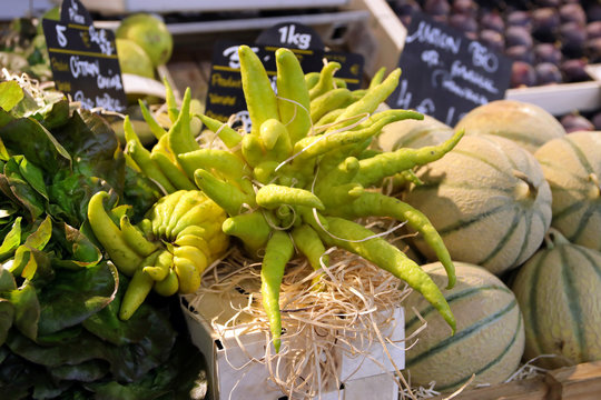 buddhas hand