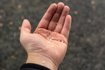 Hails fall in open palm on gloomy autumn day