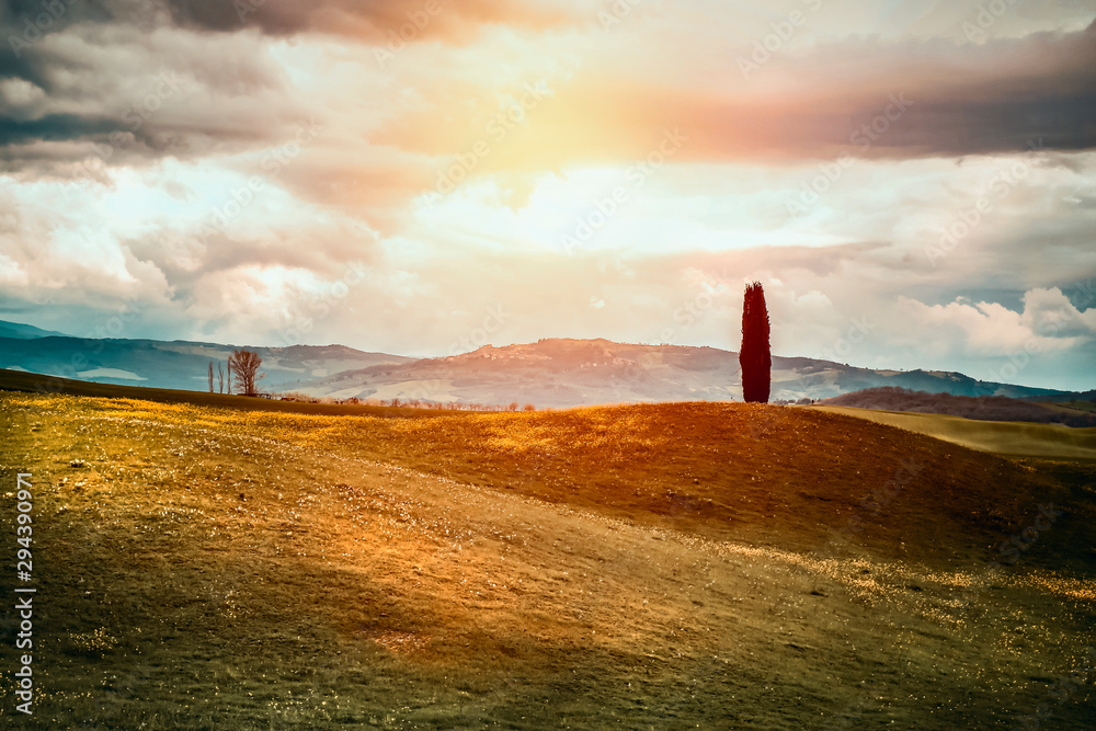 Wall mural mood fall photo of tuscany and free space for your decoration