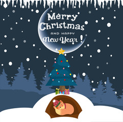 Fototapeta premium Cute winter fox sleeping in hole under fir tree