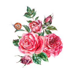 Decorative vintage watercolor red roses, Nature greeting card with flowers, leaf,  buds and snail